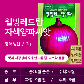 웰빙레드탑 자색양파 씨앗 2g -저장양파 적양파, 1개