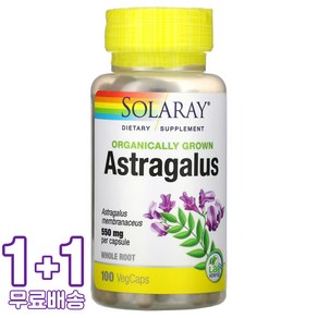 솔라레이 Astagalus Oganic 550mg 베지 100캡슐 2통, 100정, 1개