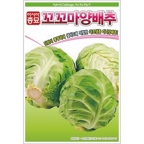 [모종심는아빠] 단맛이 풍부하여 샐러드에 적합한 꼬꼬마양배추 씨앗 500립, 1개