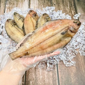 성각농수산 반건조 두절 참가자미 15미 (850g 내외) 반건조 기름가자미 5미 (500g) 작업 구이 조림, 두절 참가지미 15미 머리x ( 850g내외)