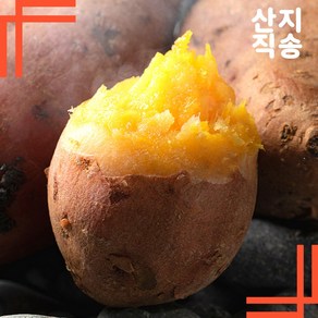 해남으뜸 최고당도 꿀고구마 베니하루카 비세척, 1박스, (비세척)한입 10KG