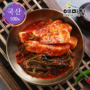 예미정 국산 총각김치 (알타리 김치) 4kg