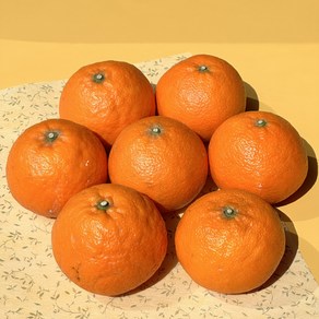[수향농] 카라향 25년 첫수확 새콤달콤 제주귤 가정용 선물용, 1박스, 가정용 3kg