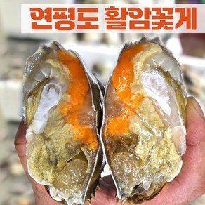 [햇땅] 연평도 활꽃게 알가득 암꽃게 1kg 2kg 5kg, 활암꽃게 대 1kg(2-3 미), 1개
