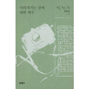 사라져가는 것에 대한 애수, 문학동네, 박완서