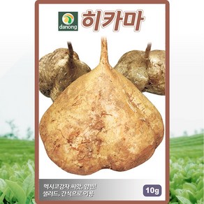 다농 히카마씨앗 10g 히카마 얌빈 멕시코 감자씨 종자