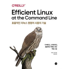 효율적인 리눅스 명령어 사용의 기술:더 빠르고 스마트하고 효율적인 커맨드 라인 작업 스킬, 길벗