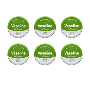 VASELINE 바세린 립밤 립 테라피, 알로에 베라, 20g, 6개