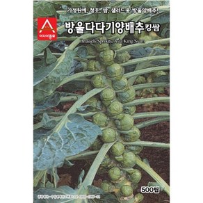 [아시아종묘/방울양배추씨앗] 방울다다기양배추 킹쌈(500립), 1개