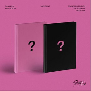 개봉앨범 포토카드 없음  스트레이 키즈 (Stay Kids) - 미니앨범 MAXIDENT T-CRUSH ve