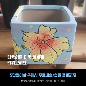 다육 다육화분 정사각 수체화 화분 (화분사이즈-높이 9cm 입구-9cm), 3번-하늘색, 1개