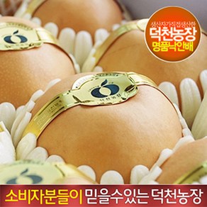 [배실배실] 며느리가 팔아주는 덕천농장 선물용 낙안배 순천배 5kg(7과)