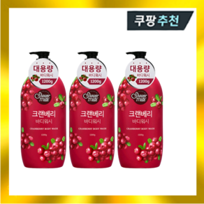 샤워메이트 크랜베리 바디워시 1200ml ×3개, 3개