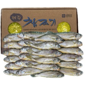 최근조업 제주 냉동 참조기 3.7kg (약 48미) 1박스 업소용 대용량, 1개