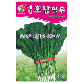 오스템바이오 호남열무 30g 종자 씨앗 연중재배 수량많고 품질좋은 환엽계, 1개