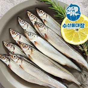 특품 알배기 열빙어 대 550g 25미 (시사모 시샤모) 선별 후 개별포장, 열빙어 25미, 1개