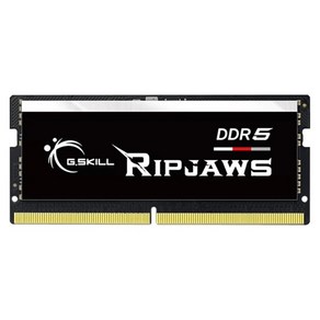 [G.SKILL] 노트북용 DDR5 PC5-38400 CL40 RIPJAWS [16GB] (4800), 선택하세요, 1개