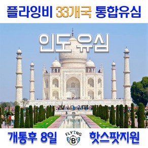 플라잉비 인도유심 8일 LTE 6GB 아시아33개국통합유심, 1개, 8일 LTE 6GB+저속무제한