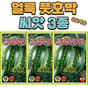 얼룩 풋호박씨앗 3개(10립x3) 수량성 좋고 재래종맛 풋호박씨앗, 3개