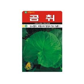 솔림텃밭몰 곰취씨앗 100립 산나물 산채류 쌈채소