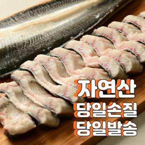 산지직송 통영장어 자연산 바다장어특대 최상품 손질 장어 활력 바다장어 비법소스포함