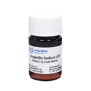 바이오피스 암브로티아 AMP5B 항생제 암피실린 ampicillin 파우더 Ampicillin sodium usp gade 실험 antibiotics 시약