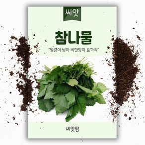 씨앗팜 참나물씨앗 (900립) 종자