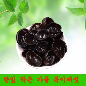 한잎 검정 가을 작은 목이버섯 말린 목이버섯 중국산, 1개, 500g