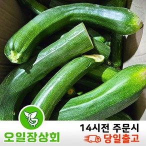 < 오일장상회 > 국내산 쥬키니호박 주키니호박 못난이호박 C등급 업소용 10kg내외, 10kg 내외 (C품), 1개