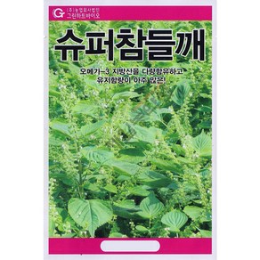 슈퍼참들깨 20g 24년 참깨씨앗 들깨씨앗 잎들깨