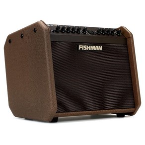 피쉬맨 이동식 매장용 버스킹 앰프 Loudbox 미니 충전 Fishman Mini Chage V5