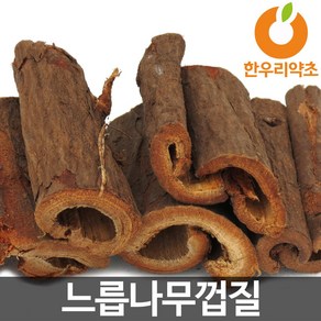 느릅나무껍질 1kg 느릅나무뿌리 효능 먹는법, 유백피1kg, 1개