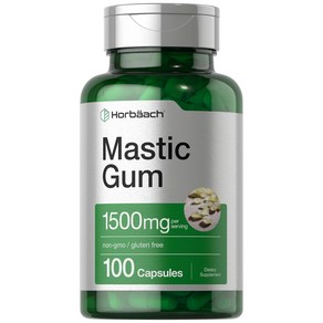 Hobaach Mastic Gum 미국 호바흐 매스틱 검 100정(33일분) [ 1병/2병/3병 택1], 100정, 2개