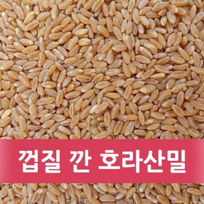 껍질 깐 호라산밀 3kg (1kg 3개) (2024년산), 3개, 1kg