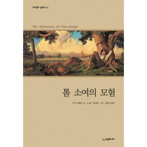 톰 소여의 모험[시공주니어][마크 트웨인 저], 톰 소여의 모험