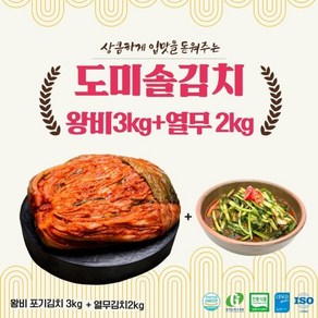 eTV 도미솔 김치 2종 세트5kg (왕비포기3kg열무2kg)