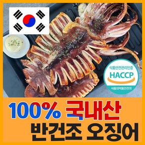 [득템몰] 구룡포 피데기 반건조오징어 파지국산 5 10 손질오징어 캠핑요리 술안주 마른오징어 쫄쫄이오징어 동해오징어