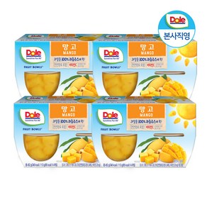 Dole 후룻볼 망고 4팩 총 113g x 16개입, 16개