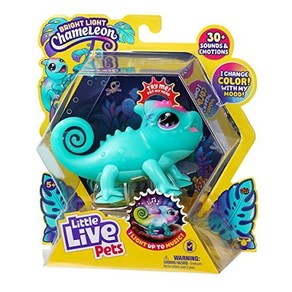 Little Live Pets Chameleon - Interactive Color-Cha 작은 살아있는 애완동물 카멜레온 - 30개 이상의 소리와 감정 반복 재생 비트 감지