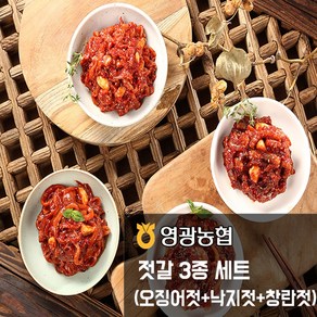 영광농협 인기젓갈 3종세트(오징어 낙지 창란) 젓갈, 1.5kg, 1개