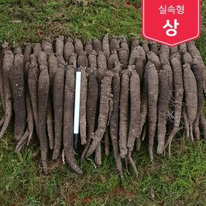 제주흙더덕 실속형 (상 중상 중) 2kg~5kg, (상) 2kg, 1개