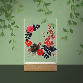 압화 대형 아크릴 무드등 만들기 DIY 건전지타입 야외 실내, 01. 건전지타입 압화 아크릴 무드등, 04. 추억의 꽃, 01. 선택없음