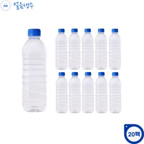 꽝꽝 얼린 얼음생수 500ml 무라벨 얼음물, 20개