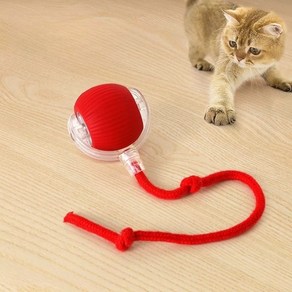 금원 자동 장애물 회피 고양이 장난감 볼, 1개, 레드