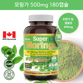 모링가 1000mg 180식물성캡슐 모링가잎 가루 분말 허바 캐나다, 180정, 1개