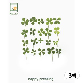 체크스토리 네잎클로버 연그린 3팩세트 압화 행운의선물 조화 압화꽃 압화팩, 연그린 소(3팩)