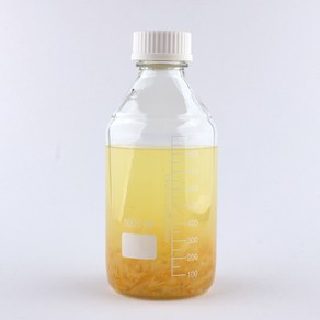 눈금 유리병 더치병 눈금병 1000ml 1개 (약 지름10cm 높이22.5cm 용량1000ml)