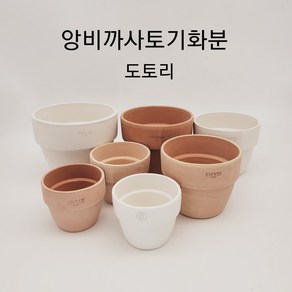 앙비까사토기화분 도토리 7종