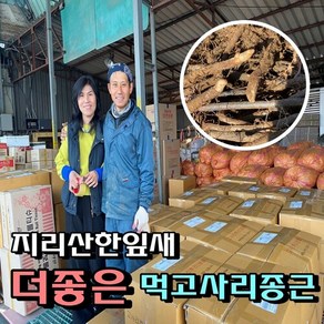 한잎새 먹고사리모종 (묘목) 10kg, 1개