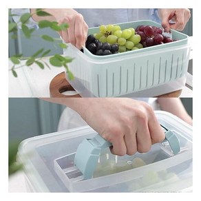 내풀로 신선 채반 밀폐용기 6500ml 민트 핸디형 과일 야채 채소보관 물빠짐 용기, 내풀로 신선 채반 밀폐용기 6500ml 민트 핸디형 과, 1개